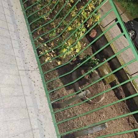 Marcella Va A Civita Πανσιόν